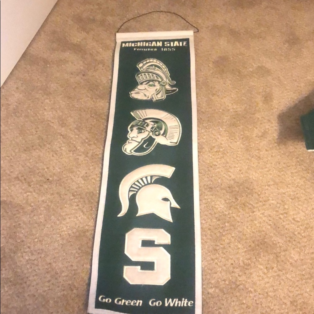 Michigan State Banner